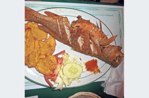 La feria Guayaquil Gastron&oacute;mico 2015 inicia hoy en el Parque Samanes