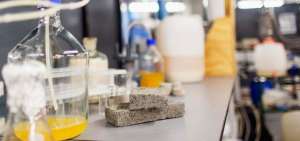 Los componentes de la orina se combinan con granos de arena en un proceso en el que una bacteria desemboca en la producci&oacute;n de carbonato de calcio a trav&eacute;s de una "compleja reacci&oacute;n qu&iacute;mica".