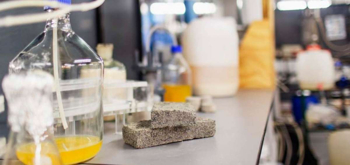 Los componentes de la orina se combinan con granos de arena en un proceso en el que una bacteria desemboca en la producci&oacute;n de carbonato de calcio a trav&eacute;s de una "compleja reacci&oacute;n qu&iacute;mica".
