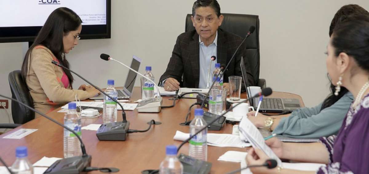 La Comisi&oacute;n espera sacar un primer informe del proyecto a finales de abril. 