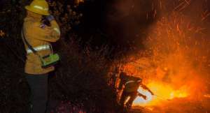 El a&ntilde;o 2012 contin&uacute;a siendo el per&iacute;odo m&aacute;s caluroso registrado en la ciudad y en el pa&iacute;s; es, asimismo, en el que m&aacute;s incendios forestales ocurrieron. 3.796 hect&aacute;reas se quemaron durante ese a&ntilde;o en la capital.