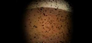 Primera foto enviada desde Marte por el m&oacute;dulo InSight de la NASA