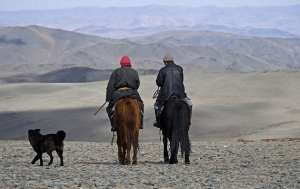 Algunos arque&oacute;logos ya supon&iacute;an desde hac&iacute;a tiempo que los perros dom&eacute;sticos se originaron en Asia central, pero faltaban estudios gen&eacute;ticos que lo corroboraran. Foto: www.newscientist.com