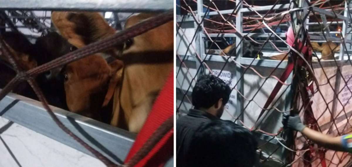 Foto: Ministerio de Agricultura