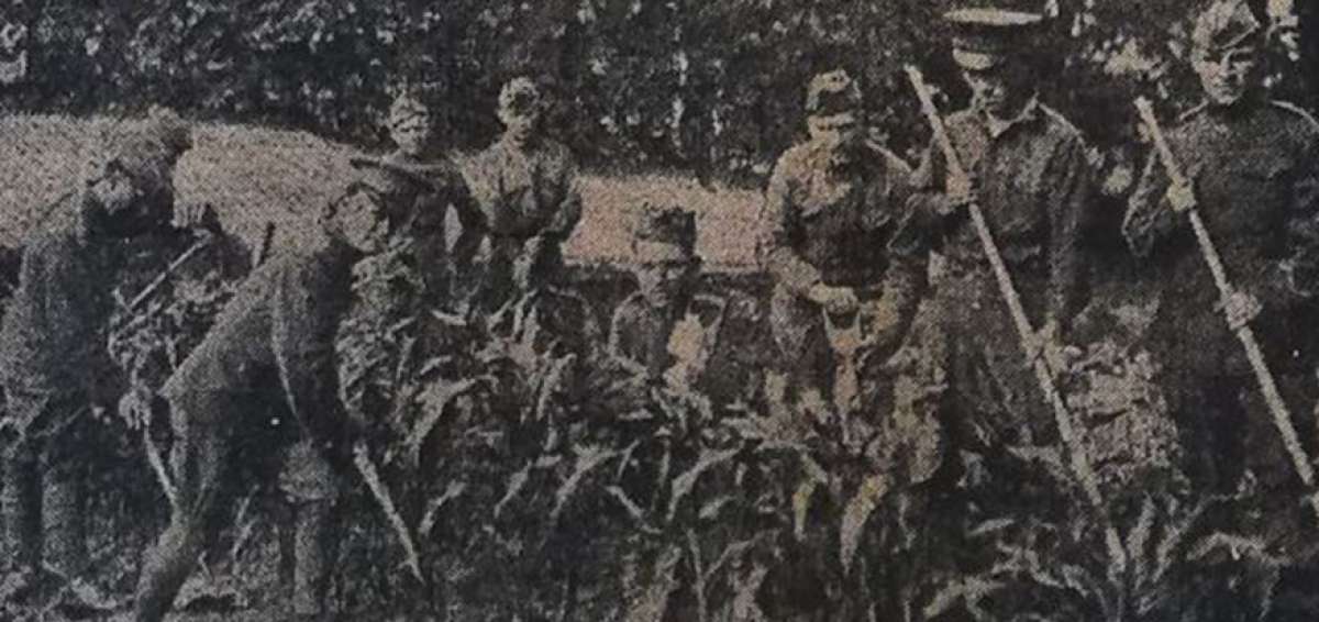 Soldados franceses trabajan en las tareas del campo