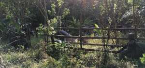 Ej&eacute;rcito encontr&oacute; nuevo campamento de grupo irregular en la frontera norte