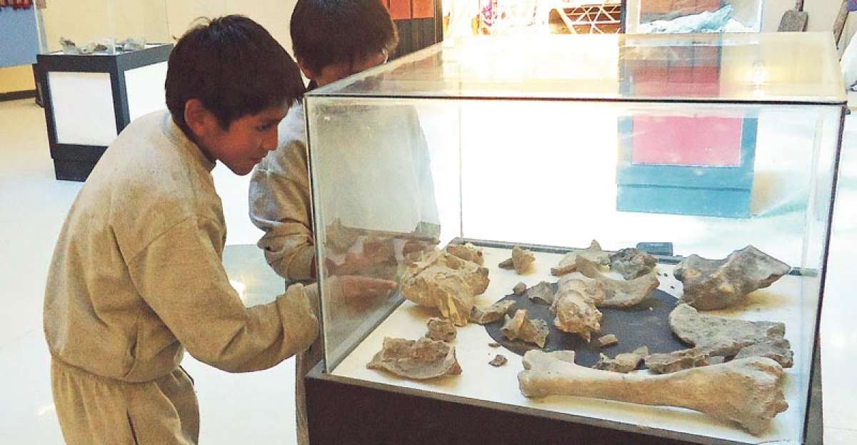 Los huesos de un Mastodonte, hallado en 1894, llama la atenci&oacute;n de los estudiantes de diversos sitios. Foto: Elizabeth Maggi / para El Tel&eacute;grafo
