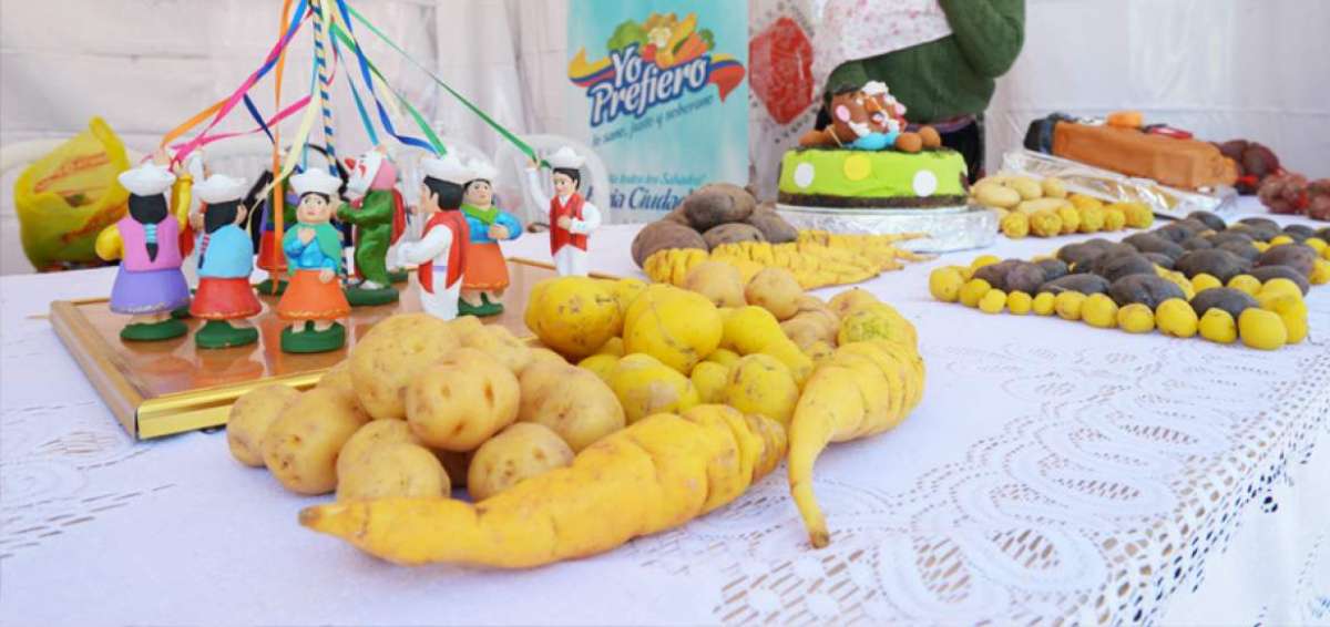 En 2015, la venta de productos de econom&iacute;a popular y solidaria aument&oacute; $ 300 millones, aproximadamente, en los supermercados del pa&iacute;s.