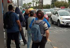 Solo 14 de 58 operadoras brindan el servicio de transporte en Guayaquil. 