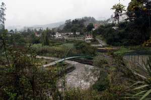 Foto: Roberto Ch&aacute;vez / EL TEL&Eacute;GRAFO