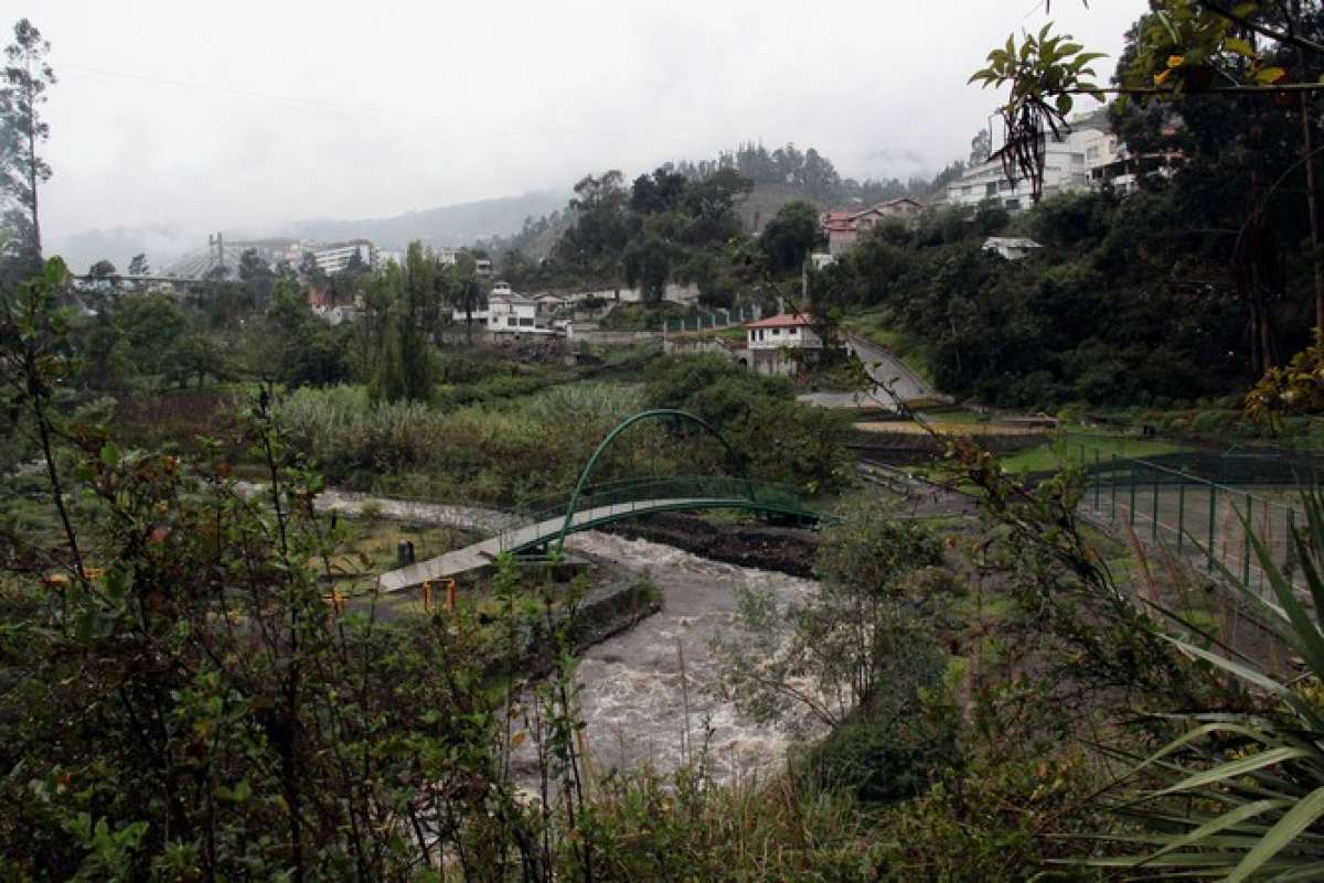 Foto: Roberto Ch&aacute;vez / EL TEL&Eacute;GRAFO