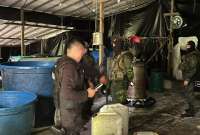 Una intervención militar en Esmeraldas permitió desmantelar un laboratorio de droga ubicado en la frontera con Colombia. 