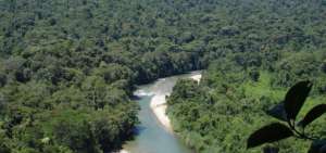 Ecuador es el segundo pa&iacute;s a nivel mundial en culminar la fase de preparaci&oacute;n para REDD+