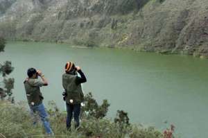 Los expertos en aves acu&aacute;ticas tienen una ruta trazada en Yambo, para efectuar sus apuntes, observaciones y fotograf&iacute;as. Lo hacen mensualmente desde 2008. Foto: Internet