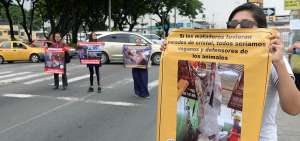 Los activistas exhibieron su mensaje animalista a conductores y transe&uacute;ntes en la avenida Domingo Com&iacute;n, en el sur de Guayaquil.