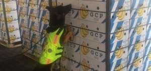 En uno de los operativos, la droga fue hallada camuflada en cajas de banano. 
