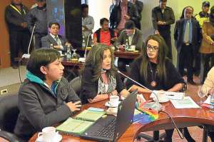 A los art&iacute;culos 9 y 10, se realizaron cambios debido a que  contemplaban la adopci&oacute;n del D&iacute;a del Orgullo Gay y la creaci&oacute;n de una insignia. Foto: Jos&eacute; Luis LLivisaca |  El Tel&eacute;grafo