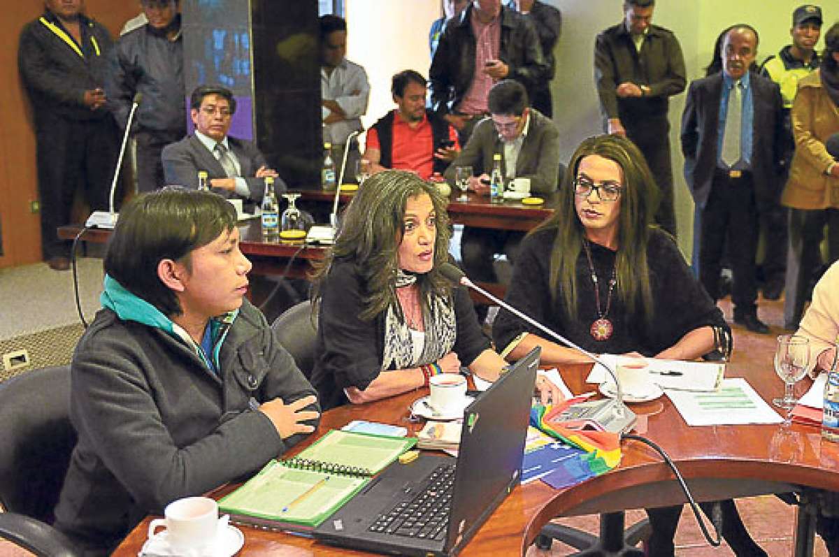 A los art&iacute;culos 9 y 10, se realizaron cambios debido a que  contemplaban la adopci&oacute;n del D&iacute;a del Orgullo Gay y la creaci&oacute;n de una insignia. Foto: Jos&eacute; Luis LLivisaca |  El Tel&eacute;grafo