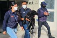 La propietaria del perro agredido en Quito será multada con 4.250 dólares