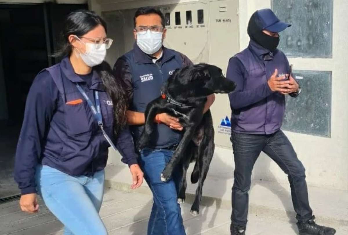 La propietaria del perro agredido en Quito será multada con 4.250 dólares