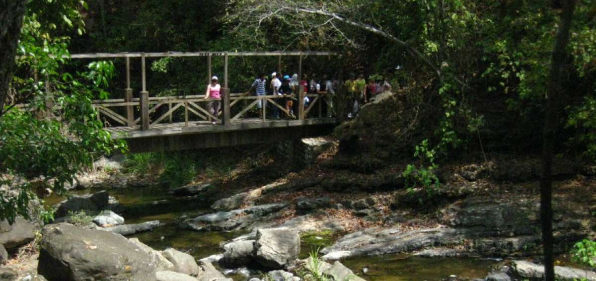 Convenio para la administraci&oacute;n del Bosque Petrificado de Puyango ya consta en el Registro Oficial