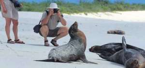 Autoridades de Gal&aacute;pagos y sector tur&iacute;stico buscan promover la reactivaci&oacute;n con la actualizaci&oacute;n de protocolos de seguridad.