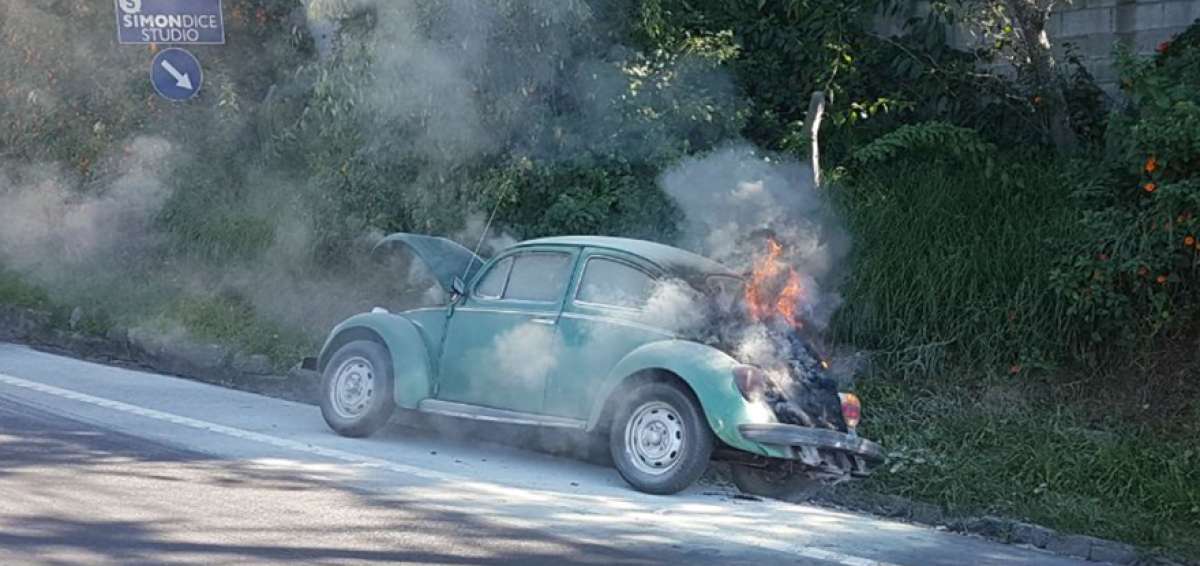 Veh&iacute;culos que han circulado varios a&ntilde;os y no han tenido buen mantenimiento son proclives a incendiarse.