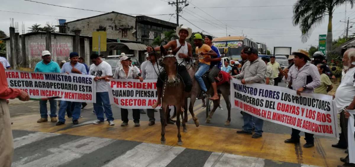 Este lunes 6 de agosto se realiz&oacute; una marcha que empez&oacute; a las 9:00 desde la entrada de la urbe hasta el km 31 de la v&iacute;a Salitre - Daule. 