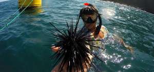 En sus tierras hay m&aacute;s de 100 buzos, cuyos ancestros pescaban en las playas, a distintas profundidades a pulm&oacute;n, pues all&iacute; se encuentra un centro de fabricaci&oacute;n de Spondylus.