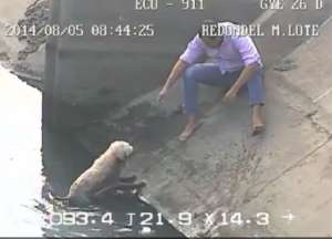 Hombre salva a un perro en Mucho Lote
