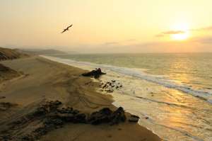 Las playas de Manab&iacute; son el principal atractivo tur&iacute;stico y generan empleo en la Zona 4. Foto: Fabricio Barros