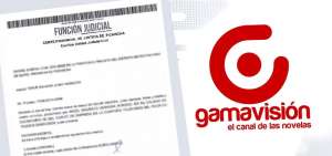 Gerente de Medios P&uacute;blicos presenta un amicus curiae en tema Gamavisi&oacute;n