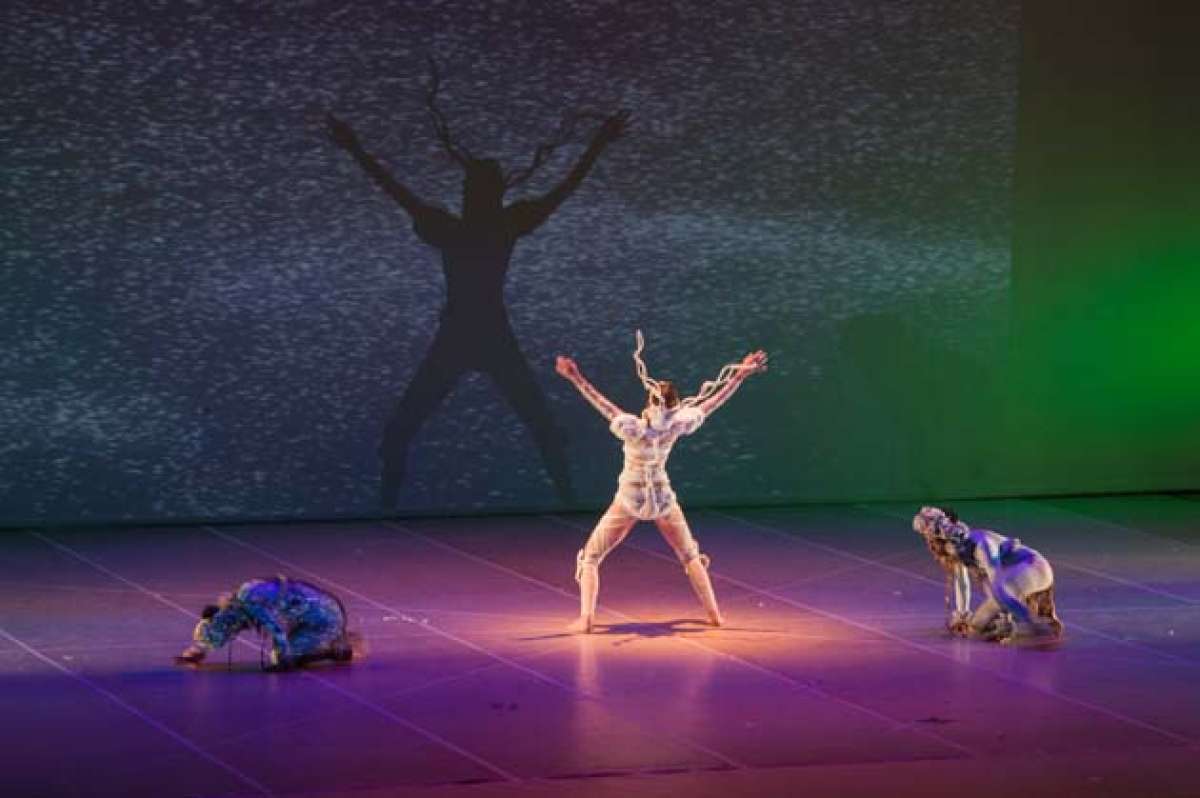 Foto: Daniel Molineros / El Tel&eacute;grafo