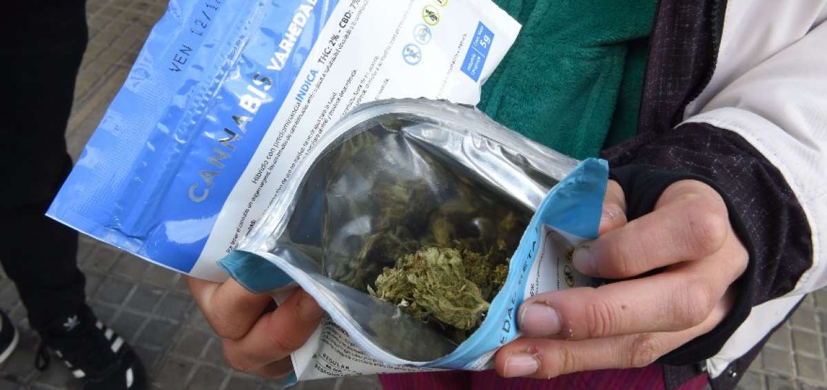 Uruguay es el primer pa&iacute;s que aplica una regulaci&oacute;n de producci&oacute;n y expendio con la venta de cannabis para uso recreativo en farmacias.