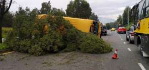 Un bus escolar termin&oacute; volcado en medio de la v&iacute;a tras impactarse contra un &aacute;rbol.