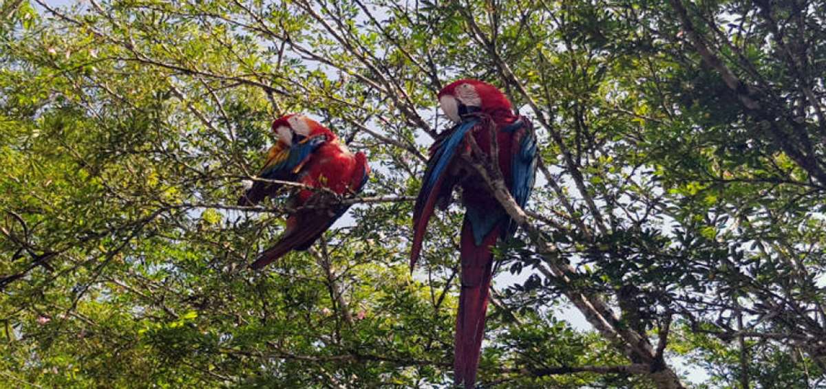 Uno de los principales encantos del cant&oacute;n es la biodiversidad. Este es el principal atractivo tur&iacute;stico que difunde el Municipio. 
