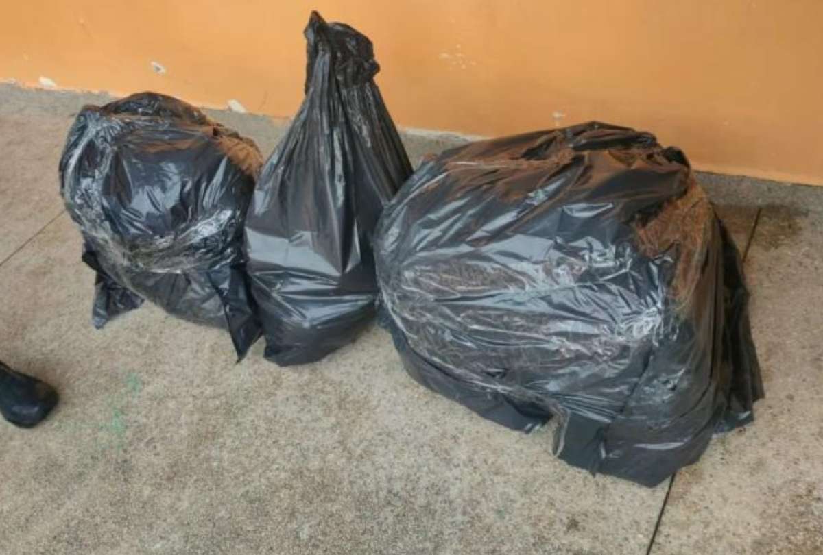 La Polic&iacute;a investiga el hallazgo de 1.385 restos &oacute;seos en una escuela al sur de Quito.