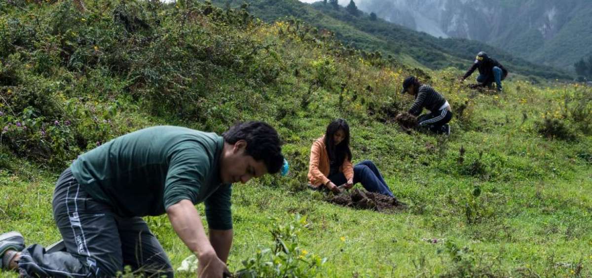 En este a&ntilde;o el Ministerio del Ambiente program&oacute; 4 cuatro actividades masivas de reforestaci&oacute;n en el pa&iacute;s.