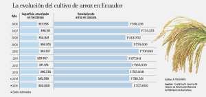 El precio de la saca de arroz vuelve a $ 35,50