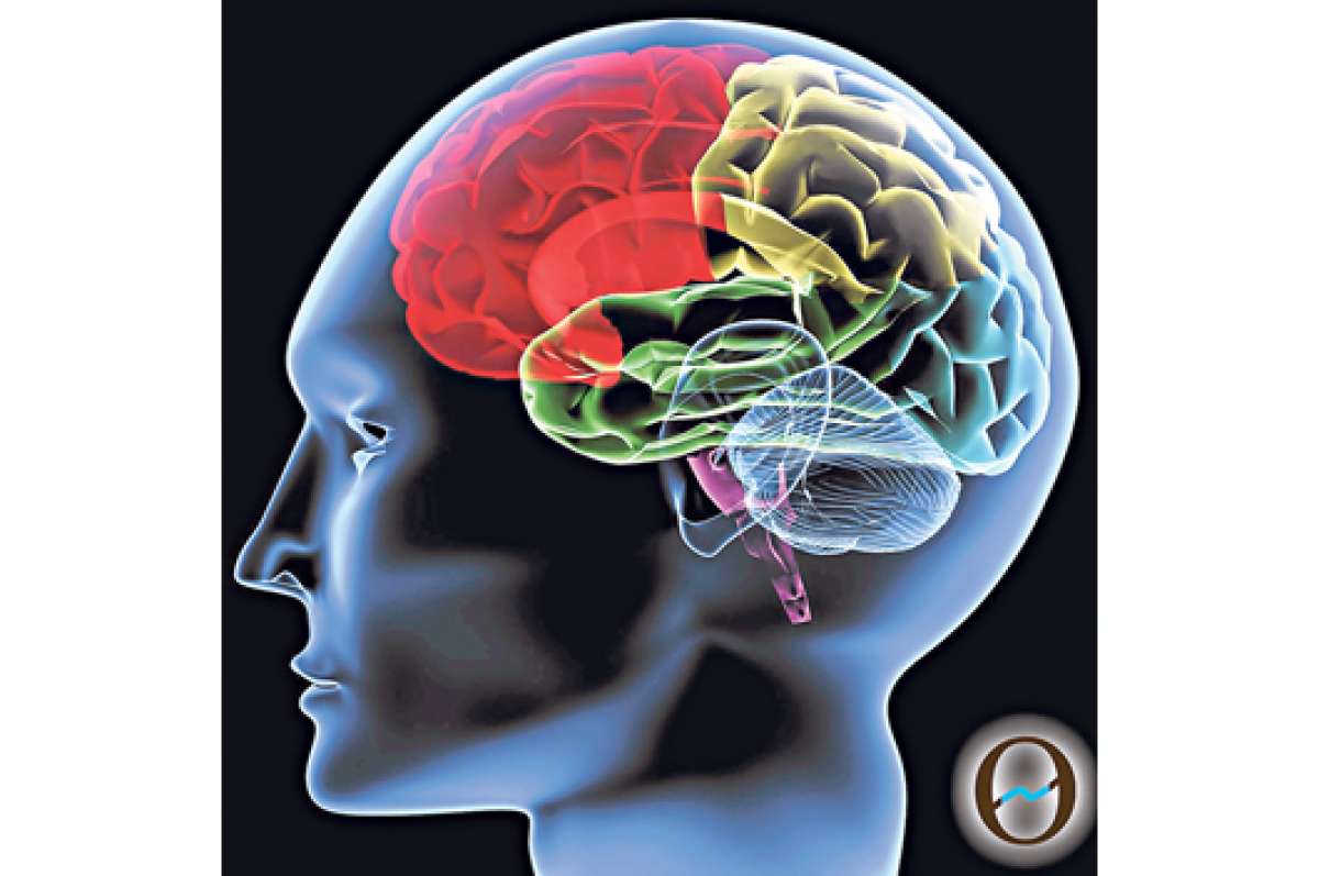 Inteligencia emocional vs. inteligencia racional