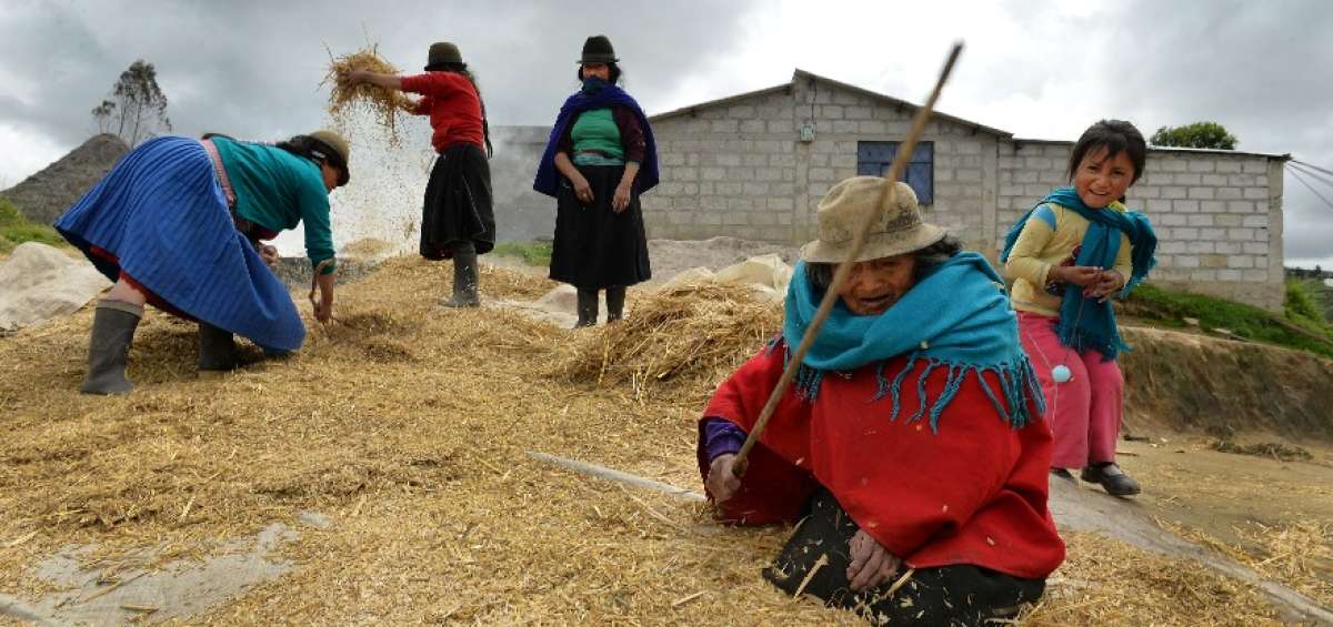 En Ambato, Quero, Patate, Tisaleo, y m&aacute;s cantones de Tungurahua, los agricultores han cambiado el uso de pesticidas, abono y herbicidas de sello rojo, por m&eacute;todos naturales de alejamiento de plagas.