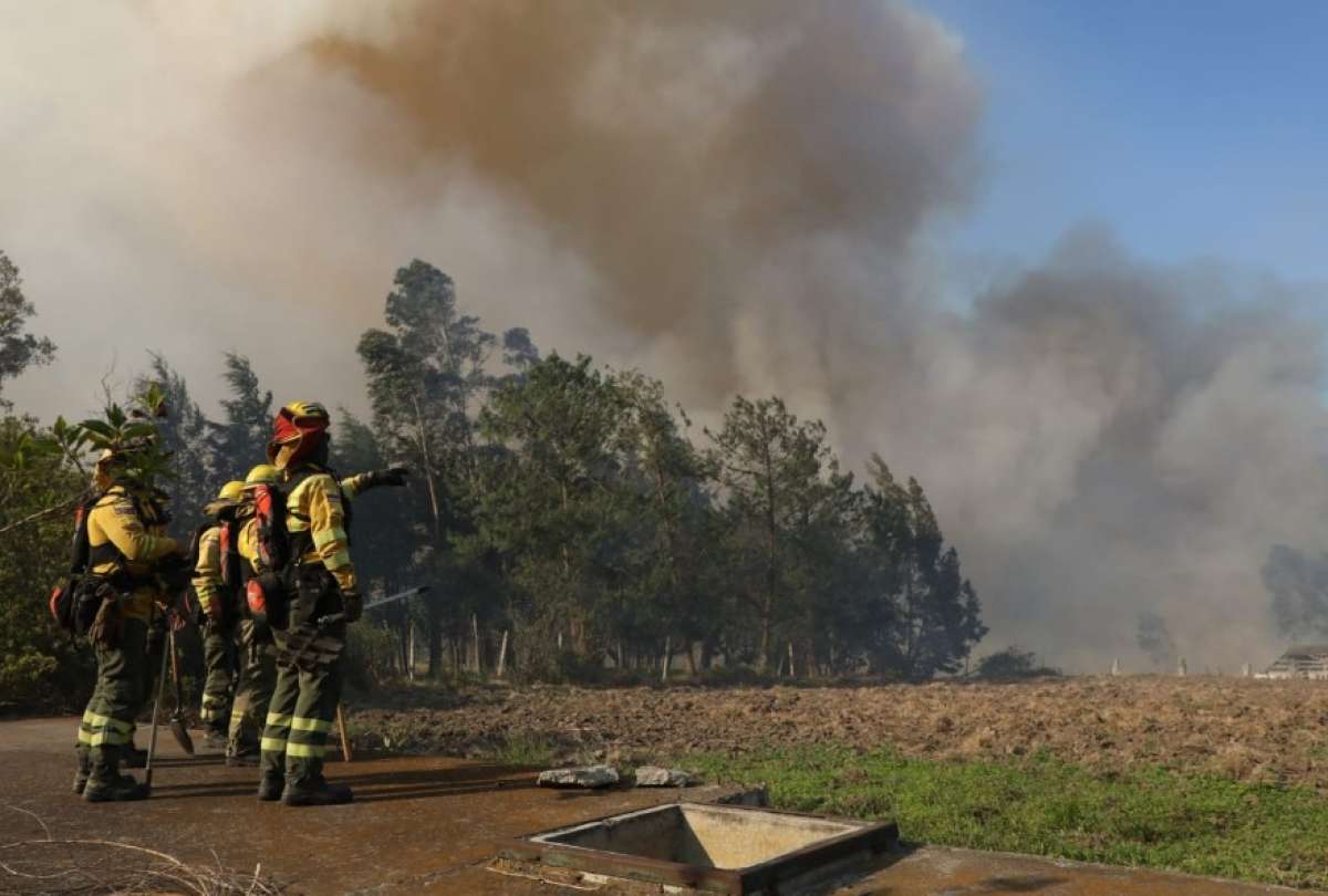 En Tababela se produjo un incendio de magnitud la tarde del miércoles 6 de septiembre del 2023