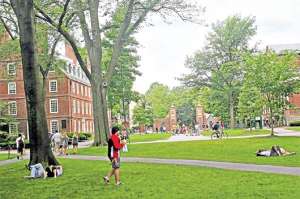 El campus de Harvard es uno de los m&aacute;s famosos del mundo universitario. Foto: Cortes&iacute;a