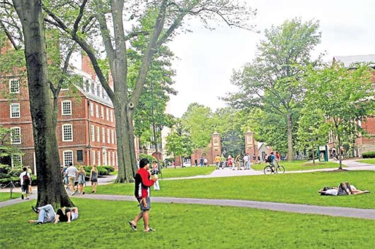 El campus de Harvard es uno de los m&aacute;s famosos del mundo universitario. Foto: Cortes&iacute;a