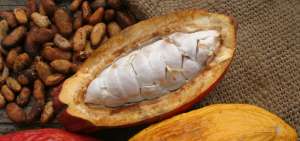 Introducci&oacute;n de productos como las bebidas, cacao y elaborados, alimentos procesados, entre otros podr&aacute;n insertarse en el mercado internacional.