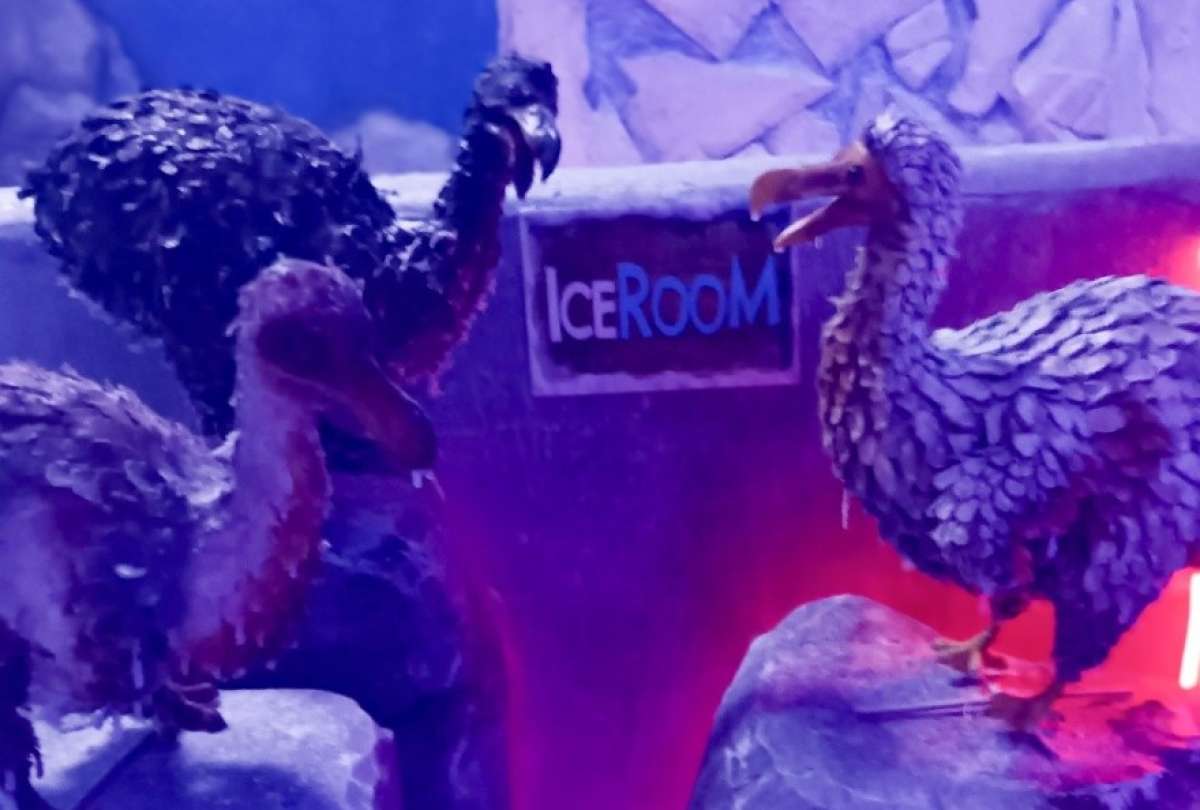 El parque tem&aacute;tico es inspirado en el film Era del Hielo.