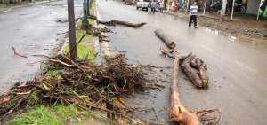 La avenida Casuarina fue afectada por la palizada que arrastr&oacute; el canal Tres Bocas, en el sector de Monte Sina&iacute;.