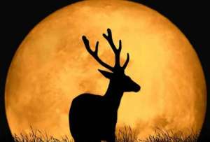La Luna de Ciervo se verá esta noche de este jueves en Ecuador.