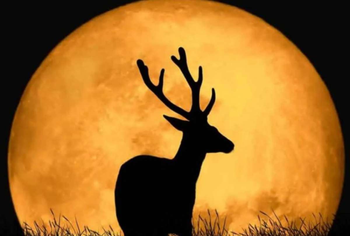 La Luna de Ciervo se verá esta noche de este jueves en Ecuador.