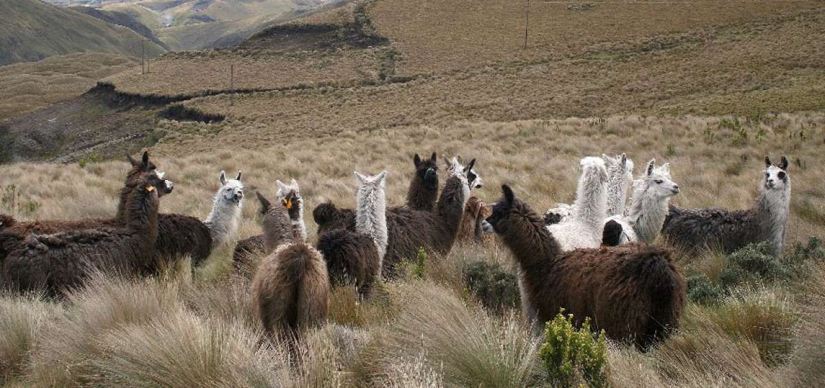 20 empresas, interesadas en una reserva natural